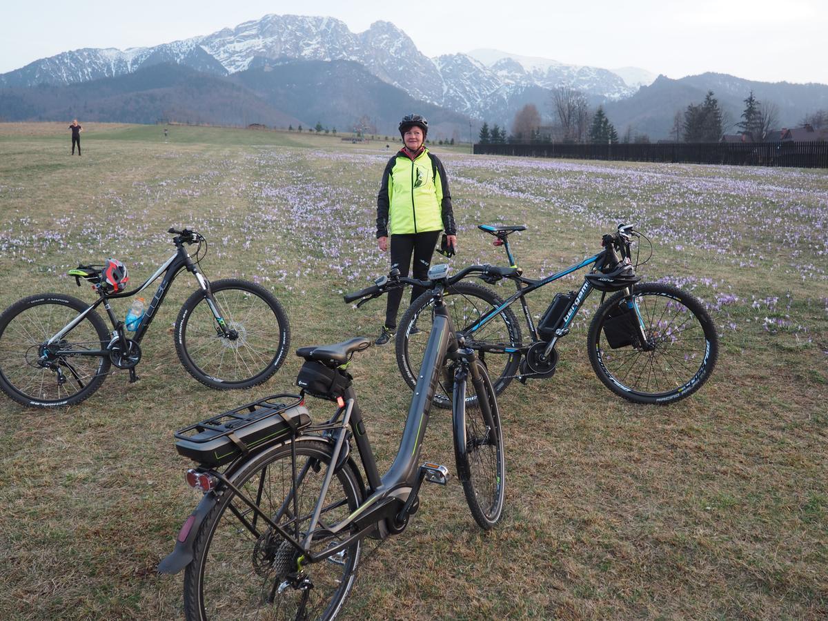 Appartamento Koci Zamek Zakopane Esterno foto